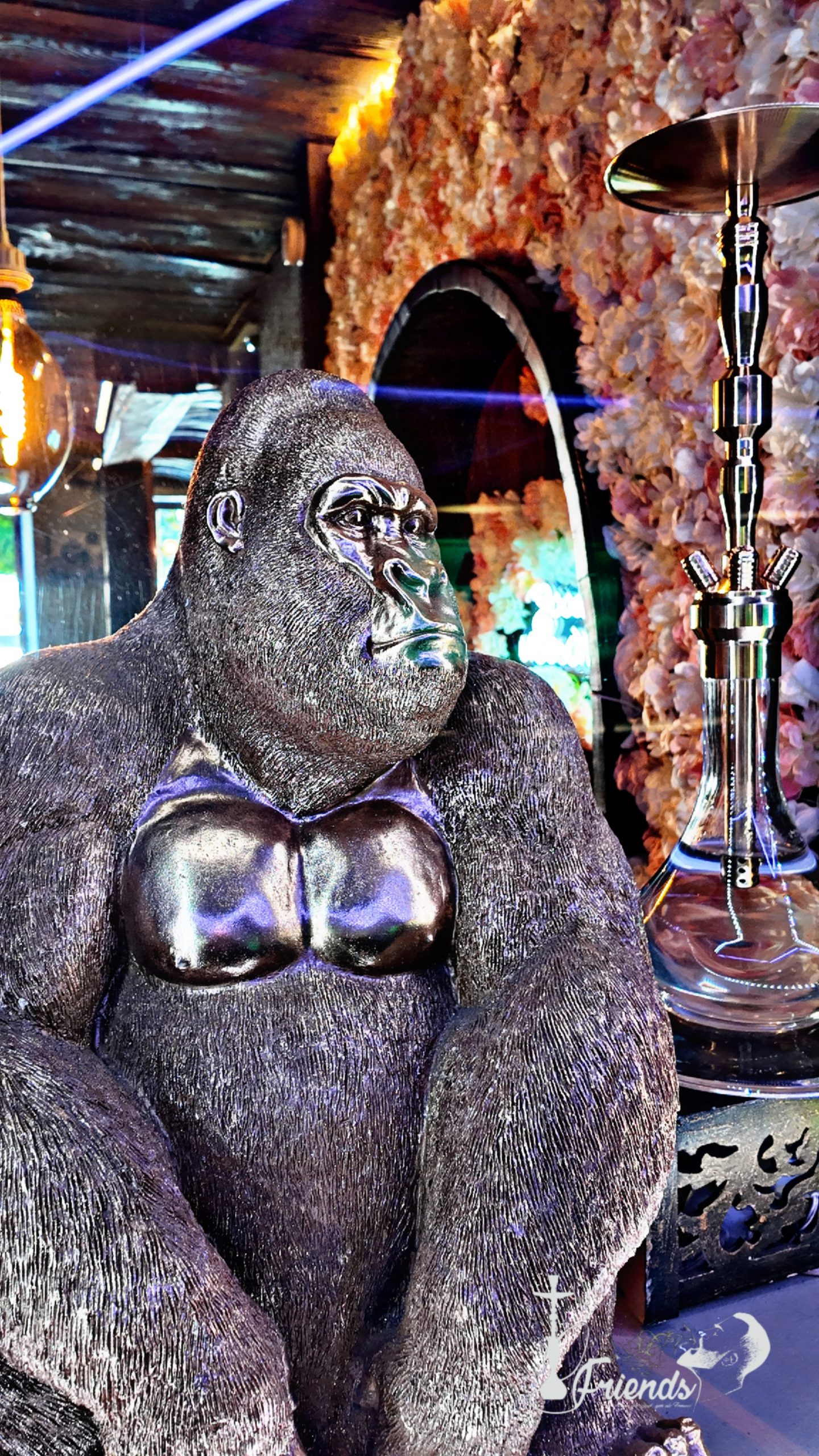 Picsart_24-08-27_18-12-18-262